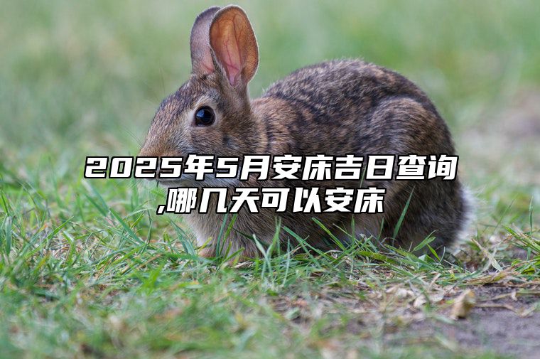 2025年5月安床吉日查询,哪几天可以安床 今日安床黄道吉日查询