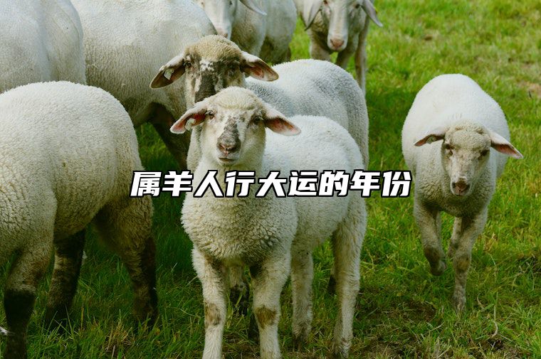 属羊人行大运的年份 属羊走大运年份