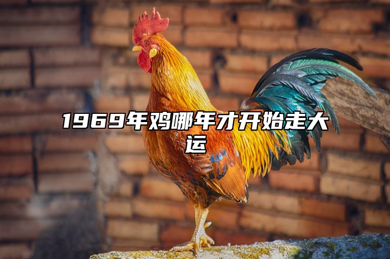 1969年鸡哪年才开始走大运 鸡69年那年行大运