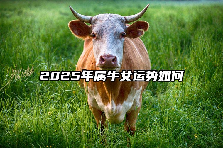 2025年属牛女运势如何 2025年属牛人的全年运势女性