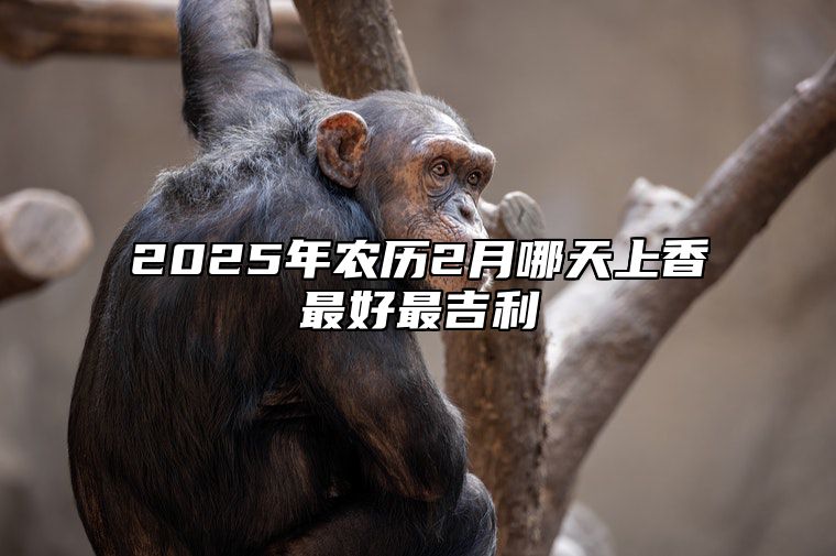 2025年农历2月哪天上香最好最吉利 适合上香吗？