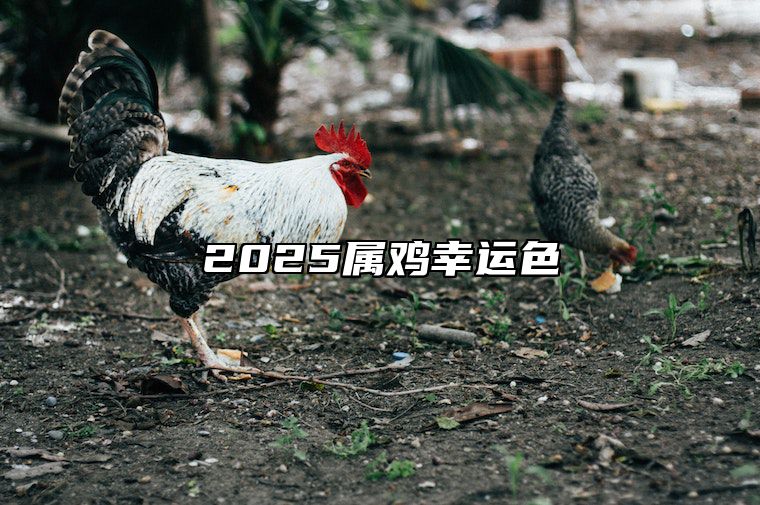 2025属鸡幸运色 2025属鸡人运势