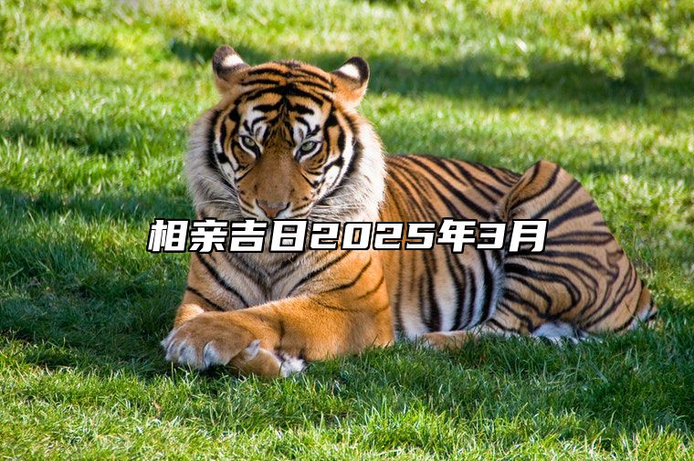 相亲吉日2025年3月 哪一天相亲吉利