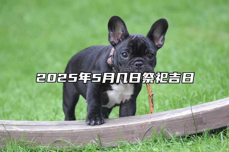 2025年5月几日祭祀吉日 哪一天祭祀吉利