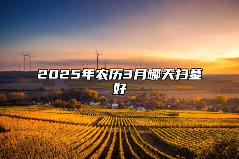 2025年农历3月哪天扫墓好 今日扫墓黄历查询详解