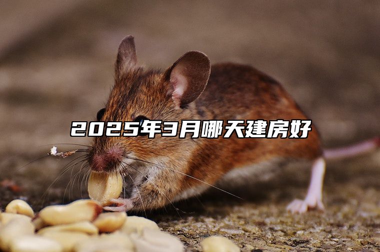 2025年3月哪天建房好 建房老黄历查询