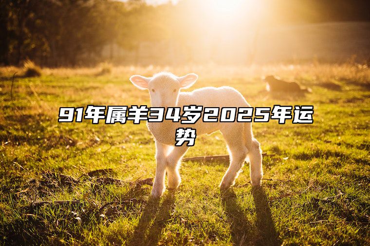 91年属羊34岁2025年运势 91年属羊人2023年运势运程每月运程