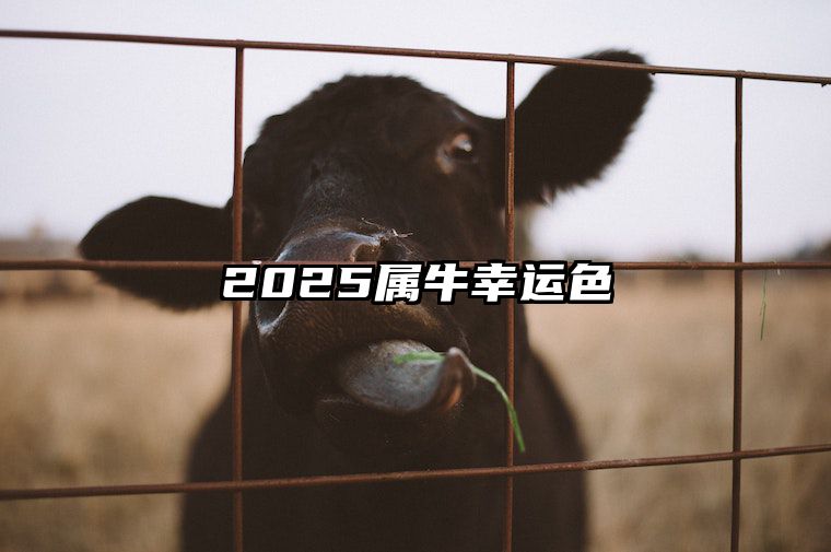 2025属牛幸运色 2025属牛人运势