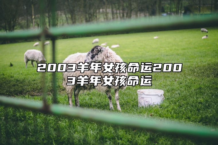 2003羊年女孩命运2003羊年女孩命运 2003年属羊女孩一生运势