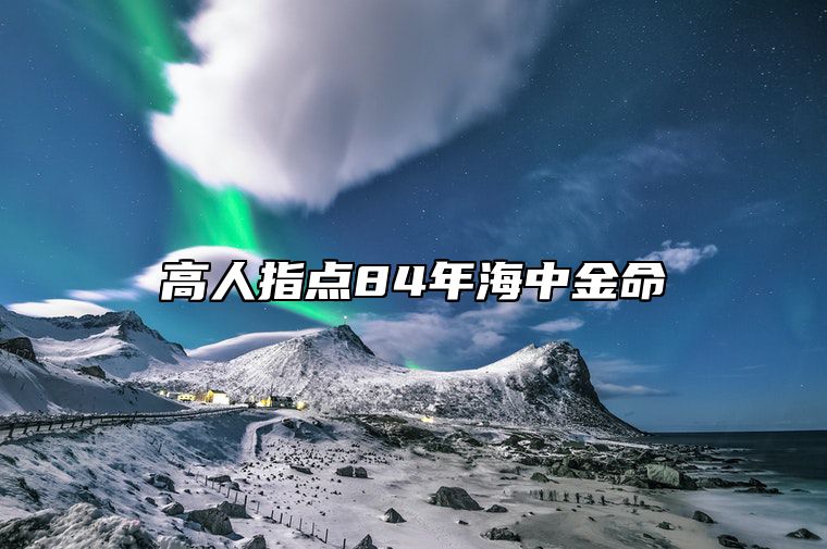 高人指点84年海中金命 高人指点84年海中金命适合做啥行业