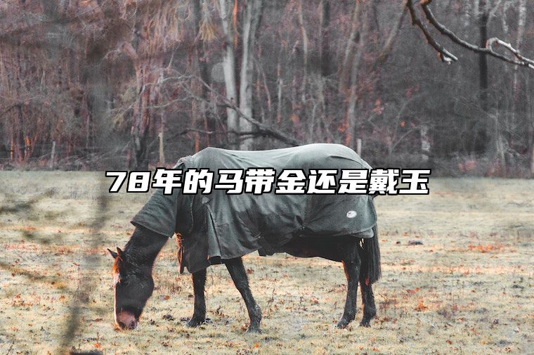 78年的马带金还是戴玉 78年马什么时候能走大运