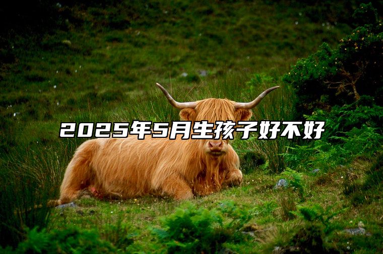 2025年5月生孩子好不好 生孩子吉日查询