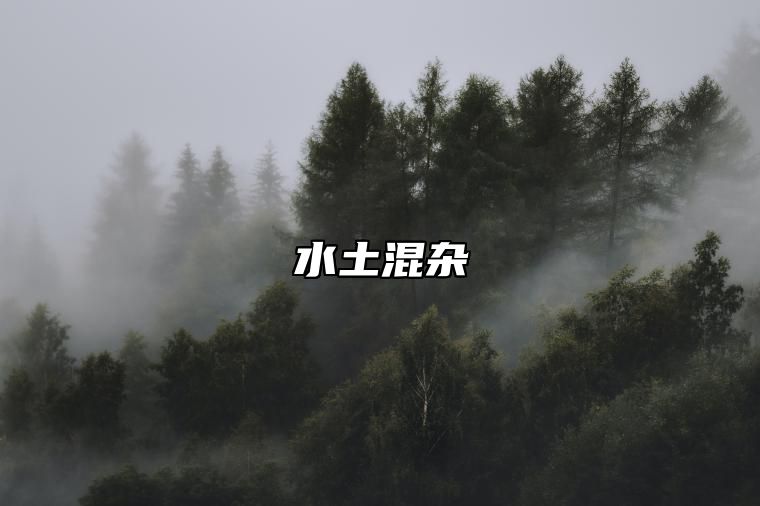 水土混杂 