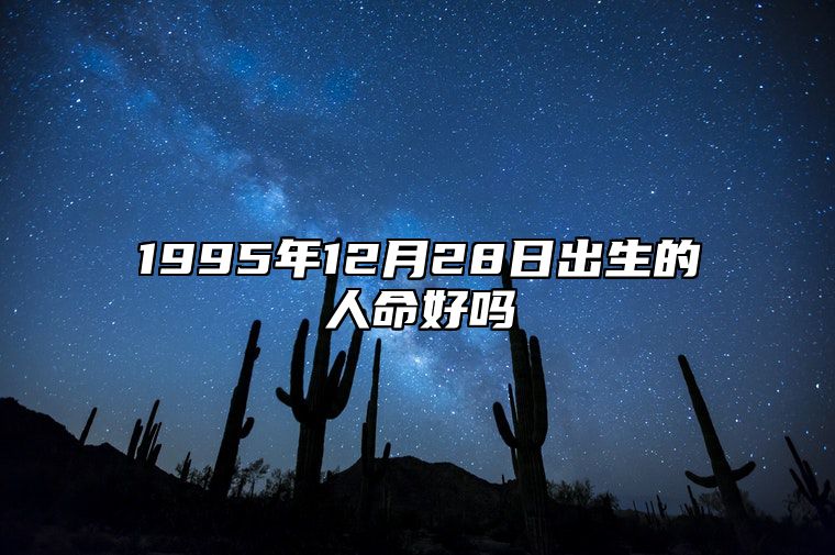 1995年12月28日出生的人命好吗 此日生辰八字如何