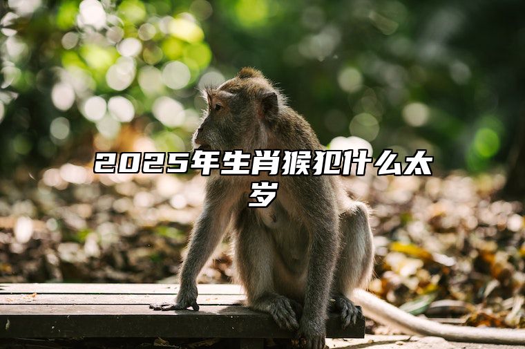 2025年生肖猴犯什么太岁 2025年属猴的多大年龄