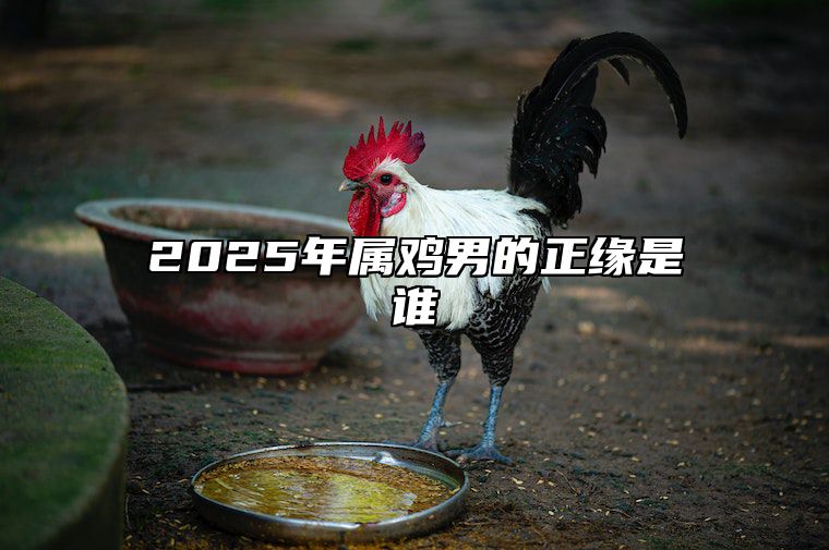 2025年属鸡男的正缘是谁 2025属鸡的运势和财运