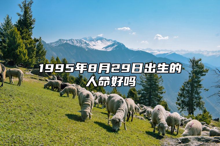 1995年8月29日出生的人命好吗 此日生辰八字如何