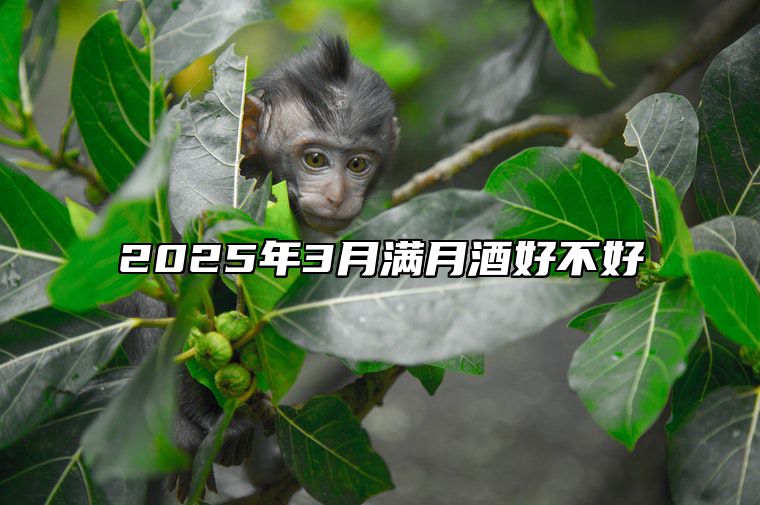 2025年3月满月酒好不好 满月酒吉日查询