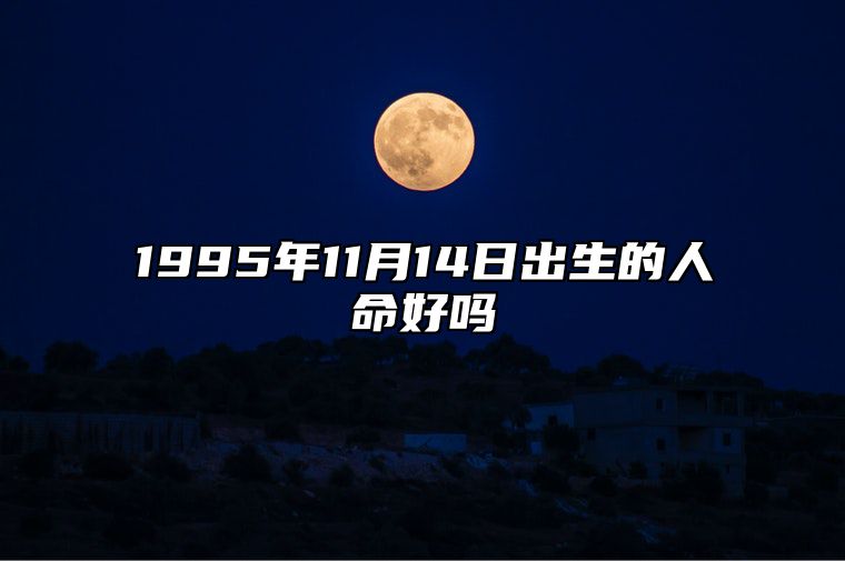 1995年11月14日出生的人命好吗 五行缺什么命运好不好