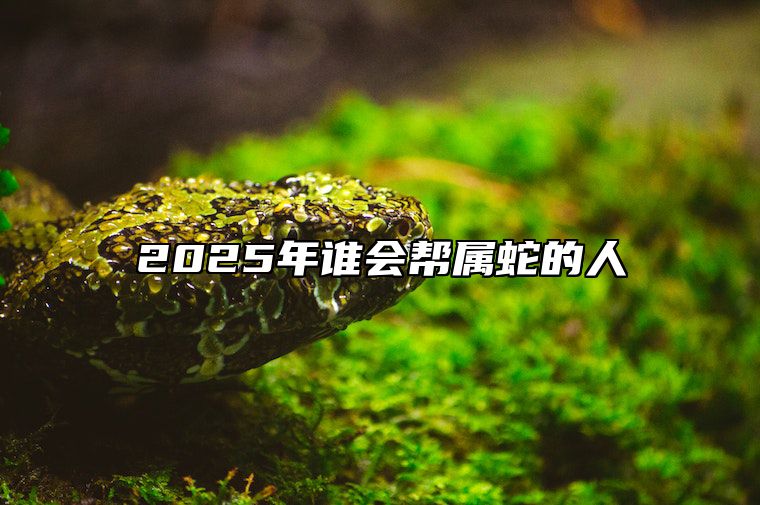 2025年谁会帮属蛇的人 2025年开始走大运的生肖