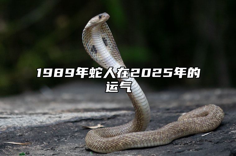 1989年蛇人在2025年的运气 