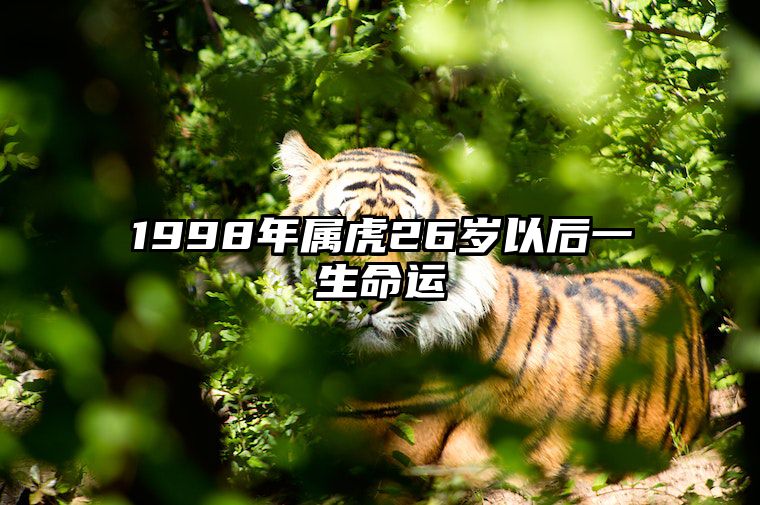 1998年属虎26岁以后一生命运 1998年属虎24岁以后一生命运