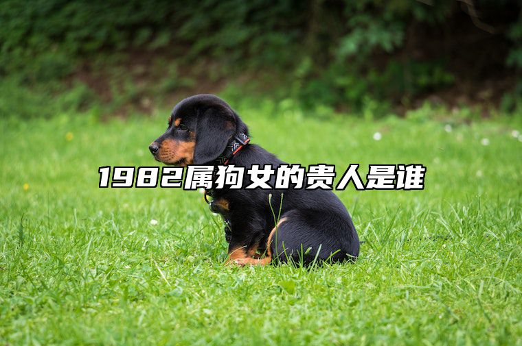 1982属狗女的贵人是谁 82年属狗42岁有一灾