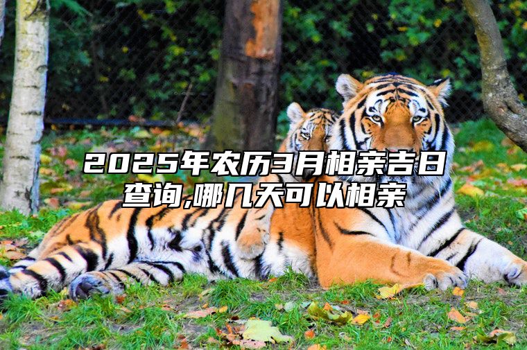 2025年农历3月相亲吉日查询,哪几天可以相亲 适合相亲吗？