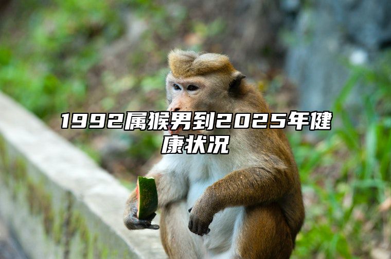 1992属猴男到2025年健康状况 1992年的猴男未来五年的运程