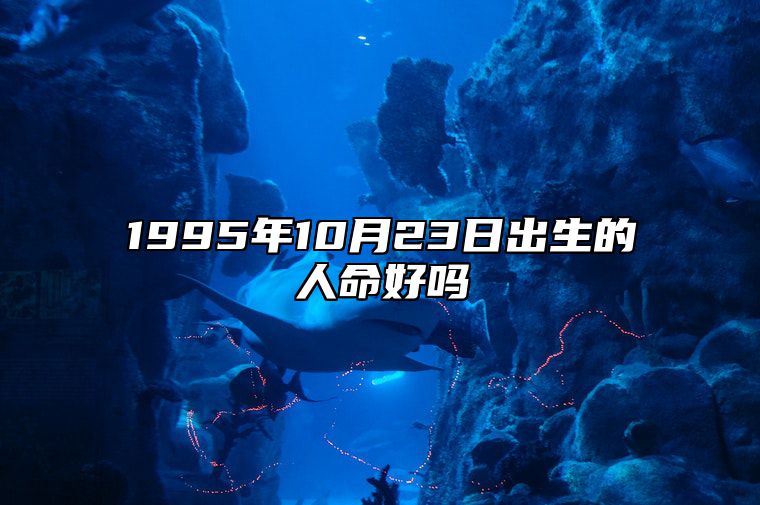 1995年10月23日出生的人命好吗 八字事业人生发展