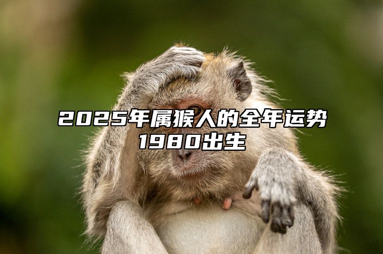 2025年属猴人的全年运势1980出生 2025年属猴人的全年运势1980出生幸运色