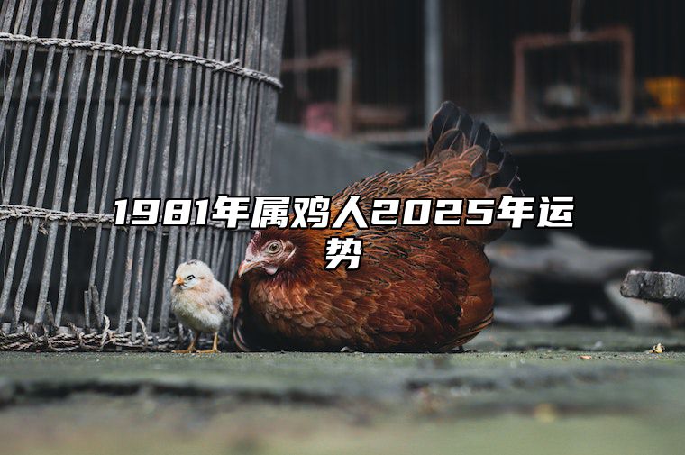 1981年属鸡人2025年运势 1981年属鸡人2025年运势及运程女每月