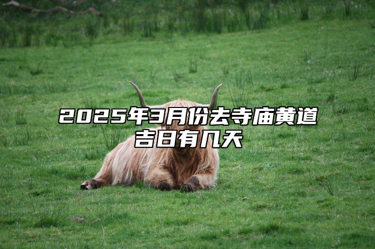 2025年3月份去寺庙黄道吉日有几天 是去寺庙的吉日吗？