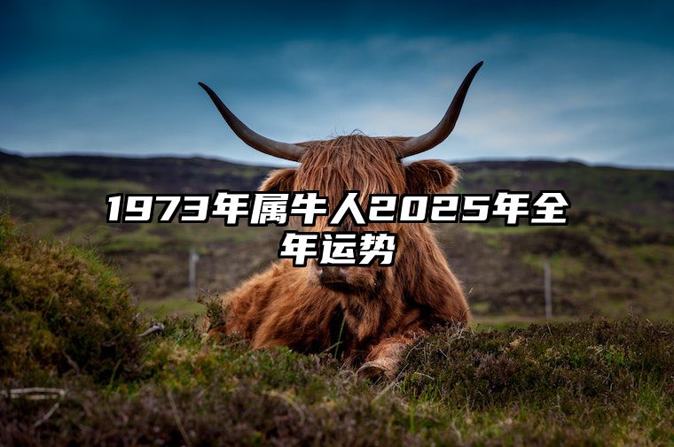 1973年属牛人2025年全年运势 2025年属牛人的全年运势1985出生