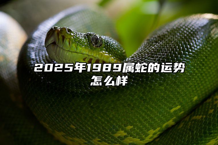 2025年1989属蛇的运势怎么样 2025年属蛇的命运