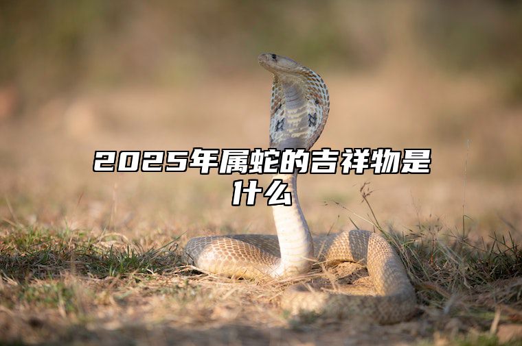 2025年属蛇的吉祥物是什么 2025年属蛇的吉祥物是什么呢