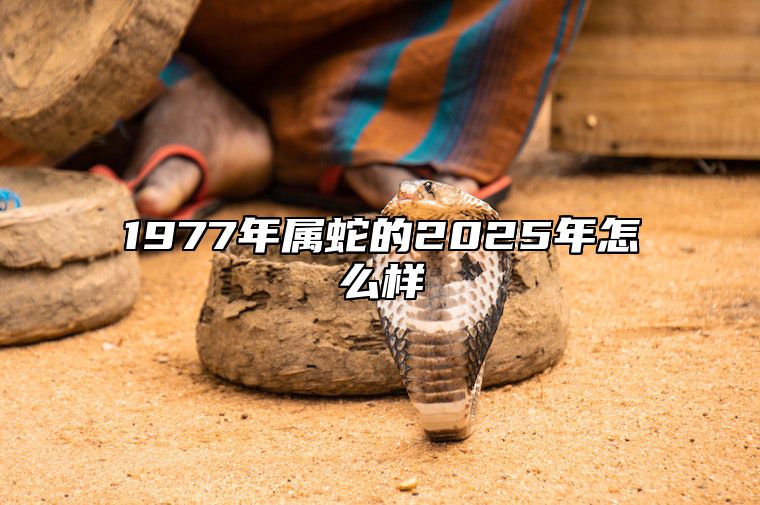 1977年属蛇的2025年怎么样 1977年属蛇未来5年运势走向