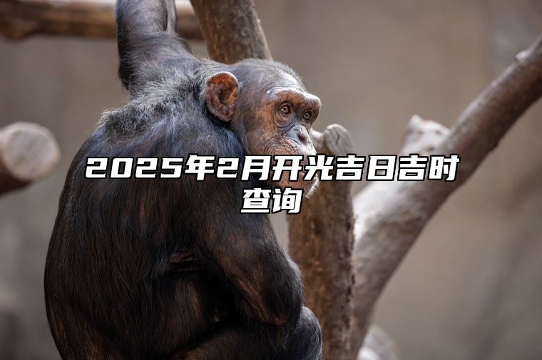 2025年2月开光吉日吉时查询 是开光的吉日吗？