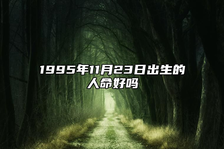 1995年11月23日出生的人命好吗 今日生辰八字