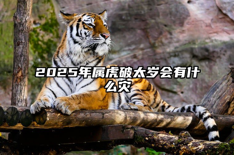 2025年属虎破太岁会有什么灾 2025年属虎人的全年运势如何