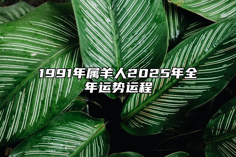 1991年属羊人2025年全年运势运程 91年属羊人2025年每月运势详解