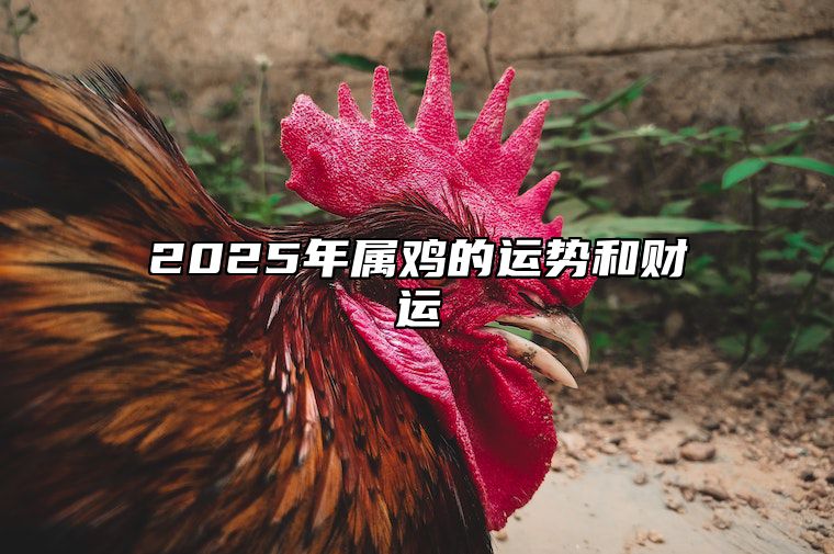 2025年属鸡的运势和财运 2025年属鸡的运势和财运1981年