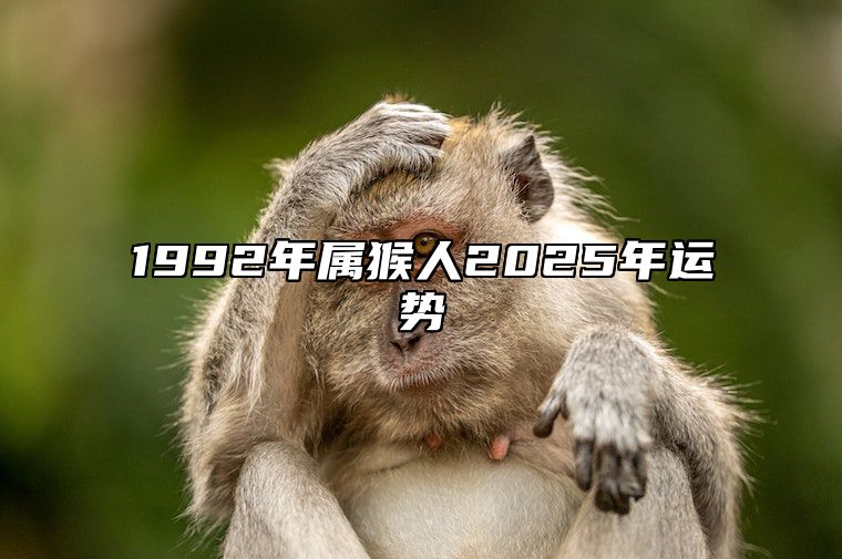 1992年属猴人2025年运势 2025年开始走大运的生肖