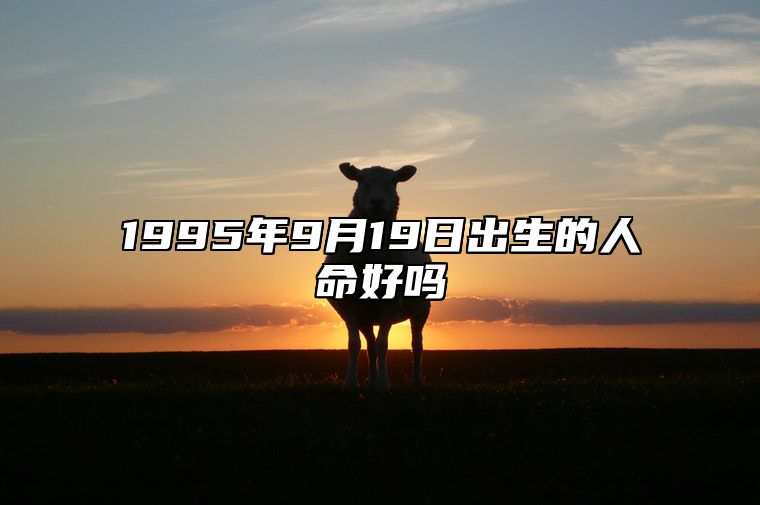 1995年9月19日出生的人命好吗 此日不同时辰八字运势分析