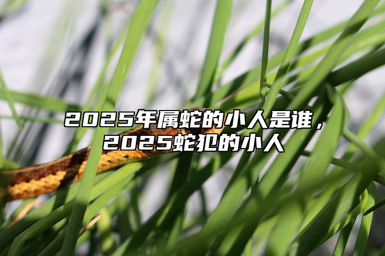 2025年属蛇的小人是谁，2025蛇犯的小人 2025年属蛇的人是什么命