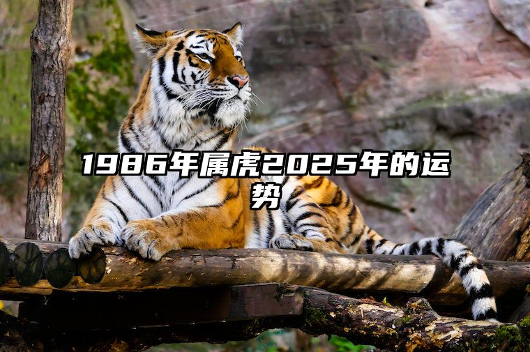 1986年属虎2025年的运势 1986年属虎2025年的运势如何?