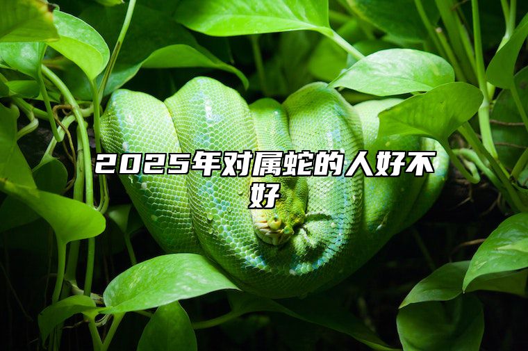 2025年对属蛇的人好不好 2025年属蛇好吗