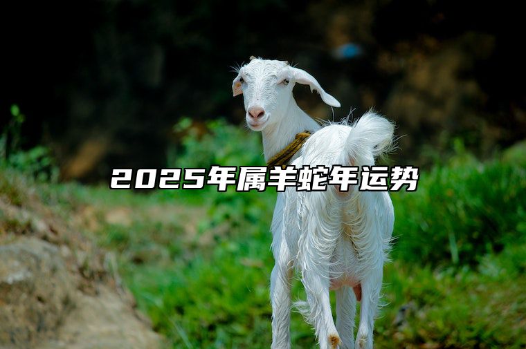 2025年属羊蛇年运势 2025年属羊蛇年运势怎么样