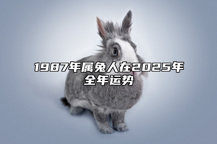 1987年属兔人在2025年全年运势 1987年属兔人2025年全年运势及运程