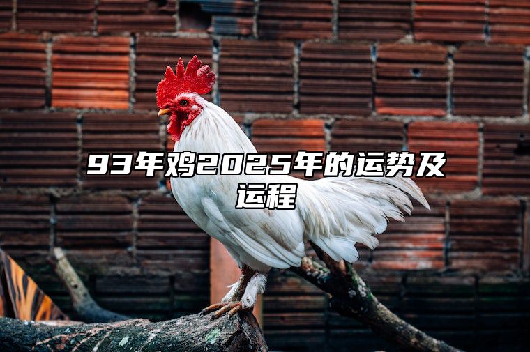 93年鸡2025年的运势及运程 93年属鸡2023年运势及运程每月运程